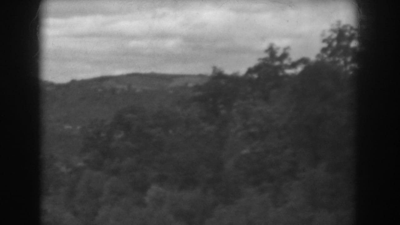 Distant wooded hillside with trees and a bright overcast sky.