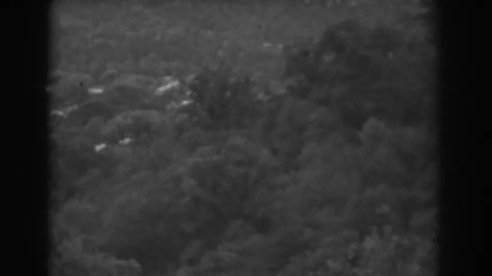 Vineland-area landscape frame with heavy foreground vegetation, wooded slopes, and small distant structures partly obscured by trees.