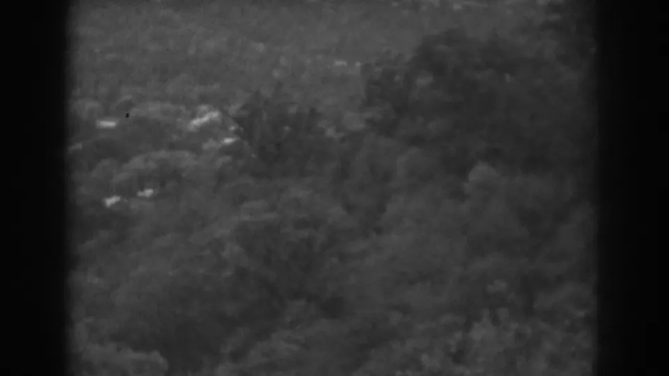 Late-1930s Vineland, New Jersey frame showing layered trees, brush, and a low distant ridge in soft black-and-white 8mm texture.