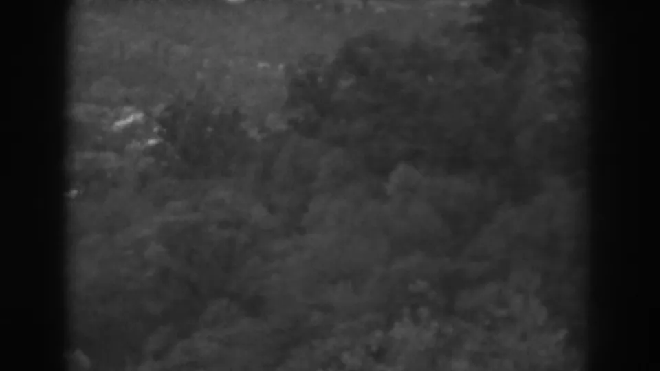 Black-and-white 8mm frame of the Vineland-area wooded landscape, with thick foliage and a dark vertical obstruction at the edge.
