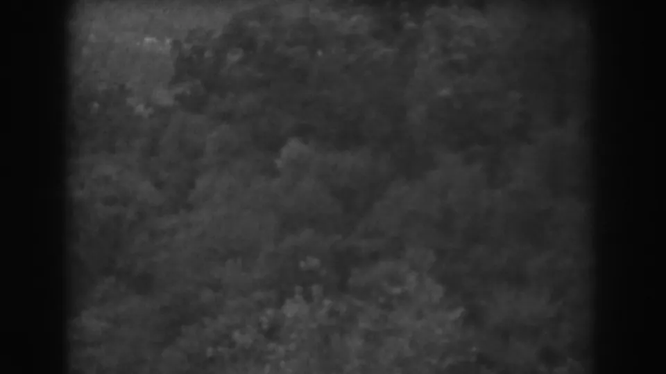 1938 8mm home-movie frame attributed to Vineland, New Jersey, showing a high view over dense wooded canopy with soft focus and dark film edges.