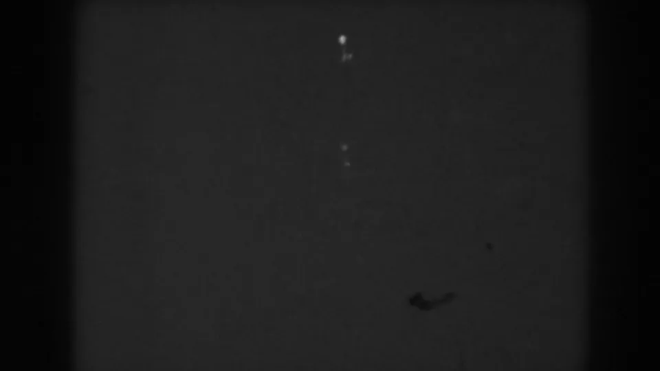 A small bird appears in silhouette against a dark background in the 1938 Vineland 8mm home-movie footage.