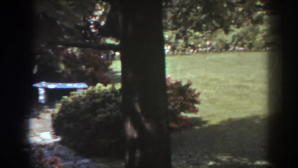 1938 West Virginia 8mm frame looking past tree trunks toward a trimmed lawn, shrubs, walkway, and partially visible garden bench.