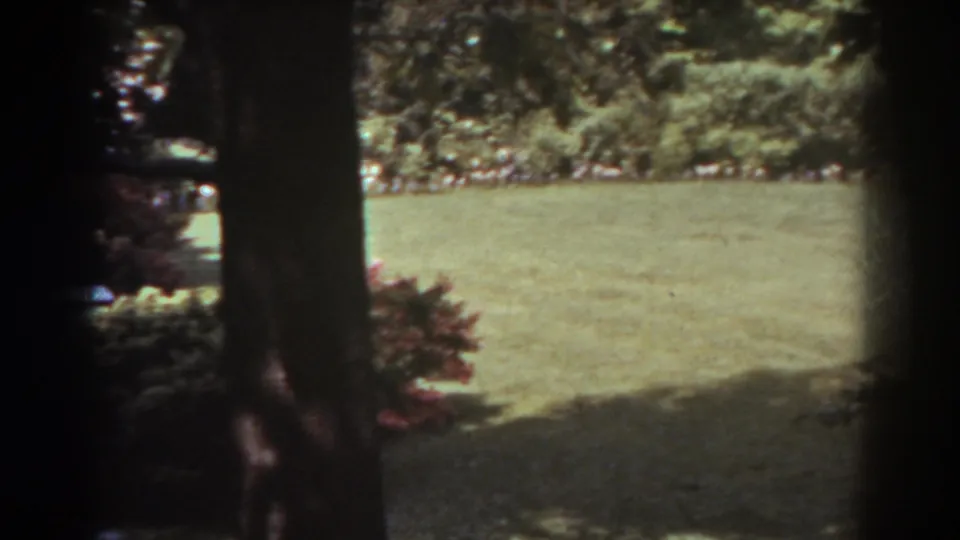 1938 West Virginia garden frame showing an open lawn, shrub border, trees, and shaded foreground tree trunks in soft 8mm color.