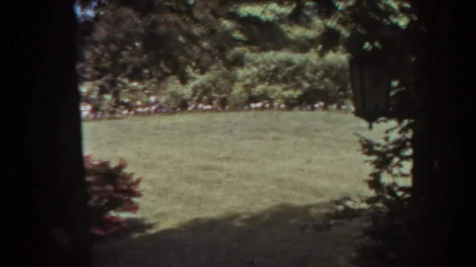 A sunlit West Virginia backyard lawn in 1938, partly obscured by dark trees and leafy garden growth.