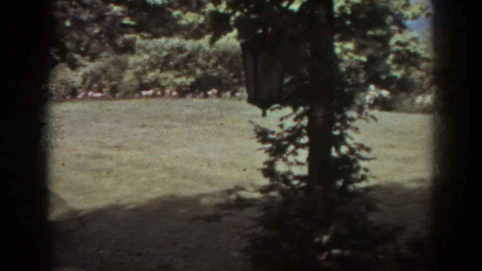 West Virginia home-movie frame showing a mowed backyard, shaded tree, leafy plantings, and a hanging planter-like shape.