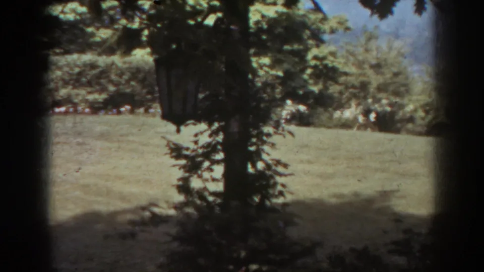 A 1938 8mm backyard view in West Virginia, with sunlit grass, shaded foreground trees, and dense garden foliage.