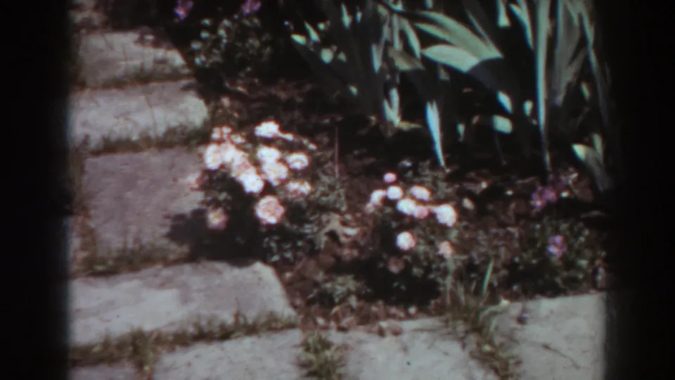 1938 West Virginia 8mm frame showing concrete steps, garden plants, and small white flowers near a wall.