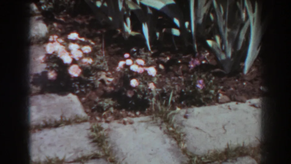 1938 West Virginia garden view with pale and purple flowers planted beside weathered stone paving.