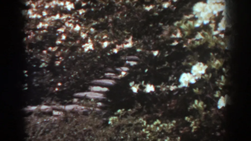 A shaded West Virginia garden view shows stepping stones winding between foliage and light-colored flowers in 1938 8mm footage.