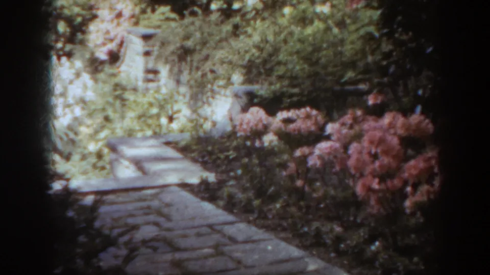 Handheld 8mm view down a stone garden path, with pink flowering shrubs on the right and dense foliage ahead.