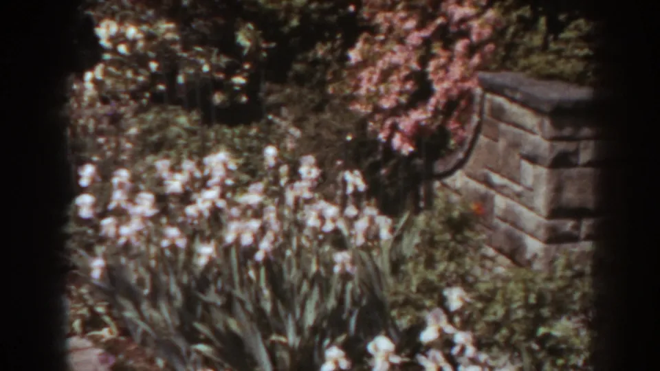 The garden view includes white irises, pink flowering plants, shrubs, and stonework in warm 8mm color.