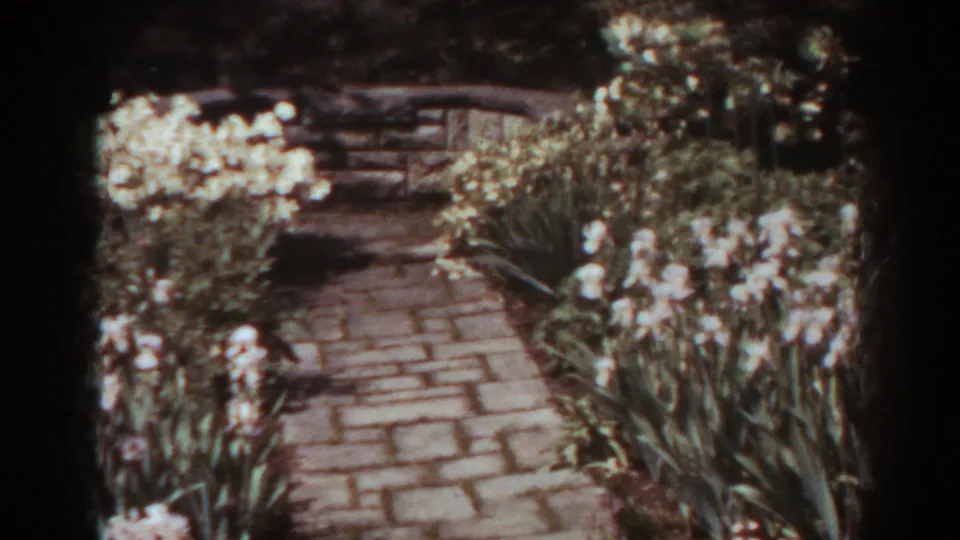 Brick path in a West Virginia garden, with white blossoms, leafy plantings, and a low stone wall in soft 8mm color.