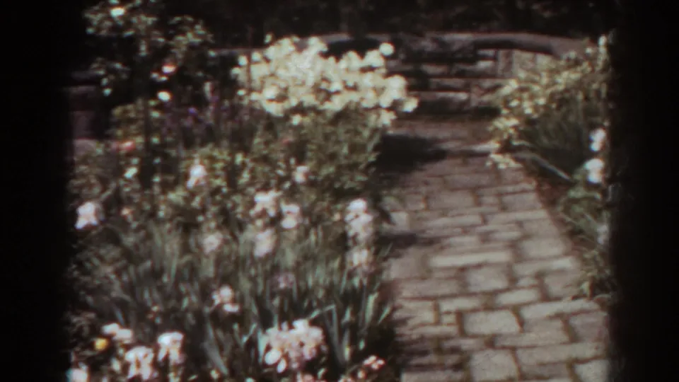 Close home-movie view of a brick garden path with white flowers and dense planting in West Virginia, 1938.