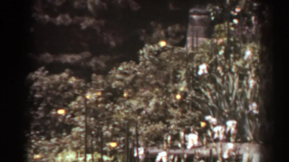 1938 West Virginia home-movie frame of a planted garden with white and yellow flowers, layered greenery, and a small masonry feature at right.
