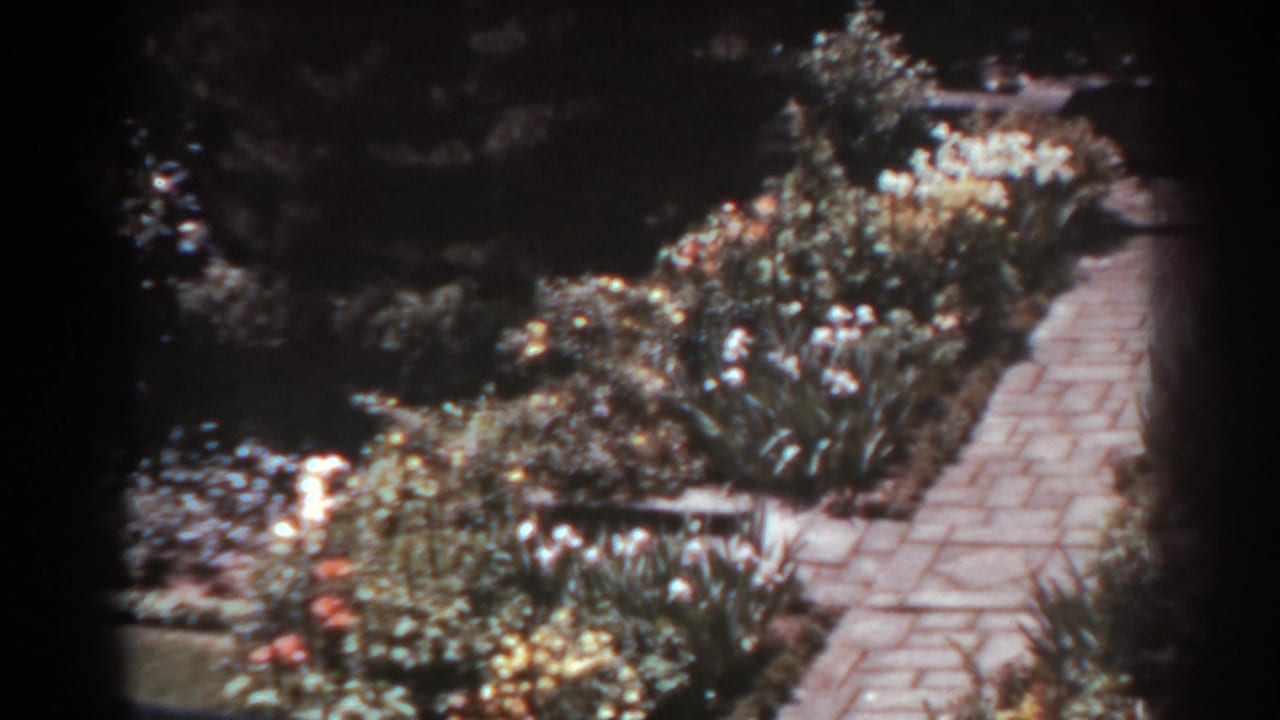 Sunlit stone walkway bordered by dense garden plantings and flowers.