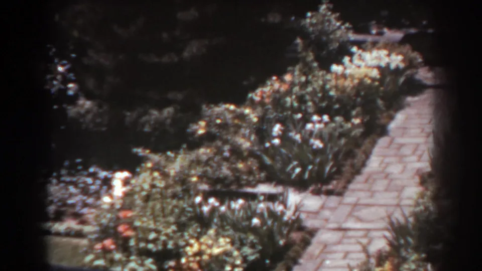 1938 West Virginia home-movie frame with a stone walkway, white flowers, leafy shrubs, and soft 8mm film texture.