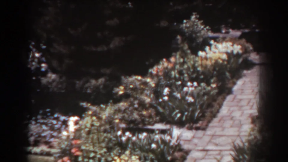 West Virginia garden footage from 1938 showing flower beds, shrubs, grass, and a stone path under bright sun.