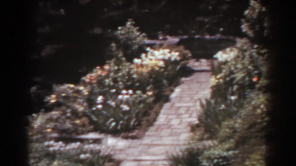 1938 West Virginia 8mm frame of a curving stone garden path bordered by shrubs, white blooms, and grass.