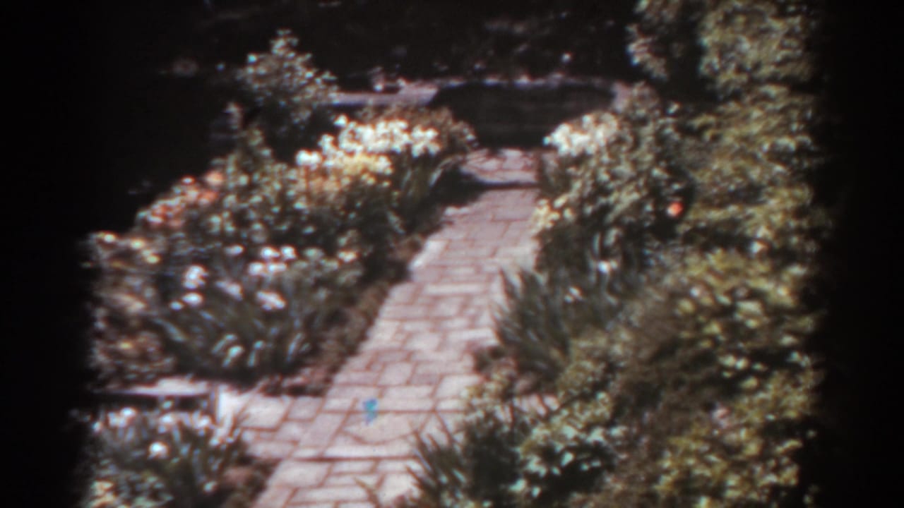 Stone garden path bordered by dense flowers and shrubs.