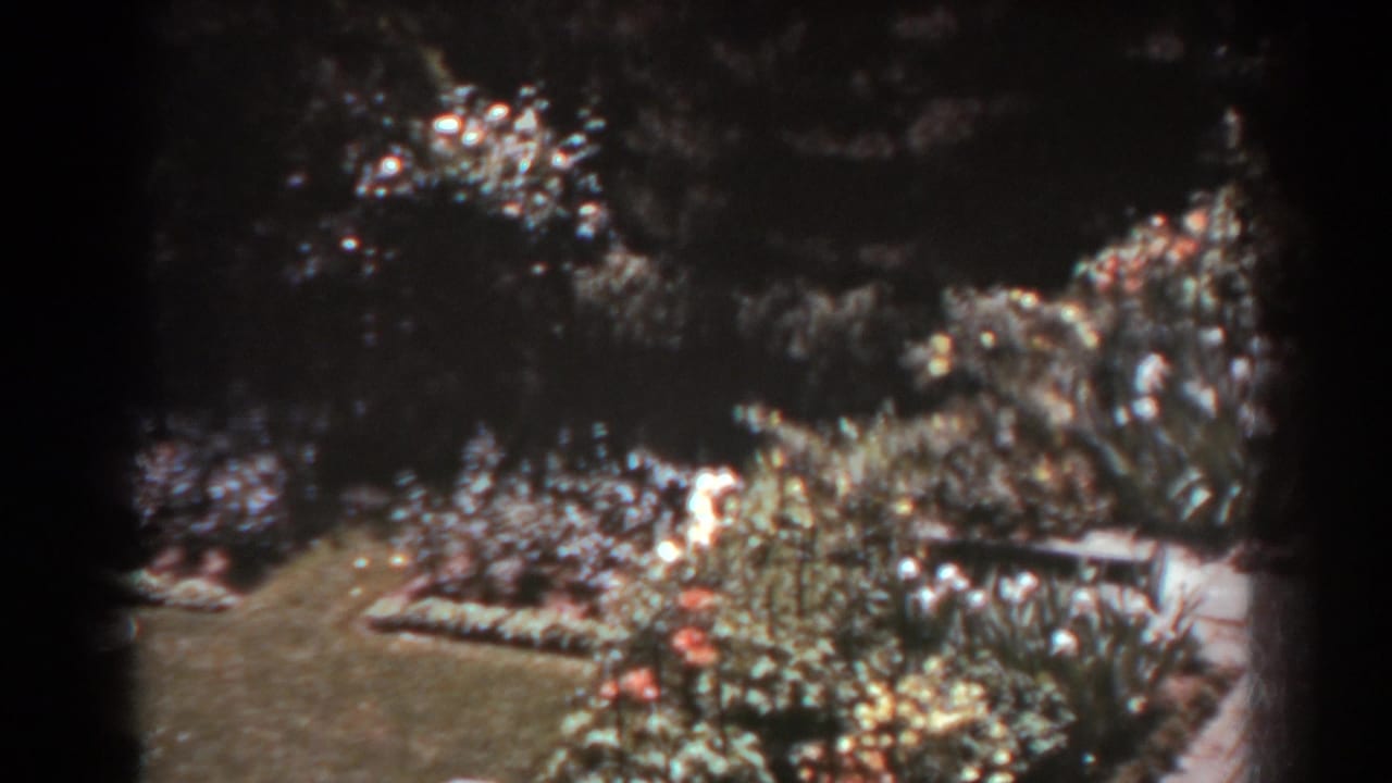 West Virginia garden footage shows a lawn beside dense flowerbeds, shrubs, and a pale curved garden edge.
