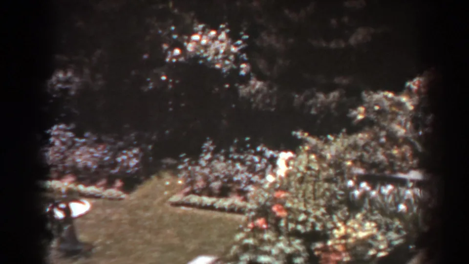 1938 home-movie frame of a backyard garden with lawn, bright flowerbeds, shrubs, and a small fountain or birdbath at left.