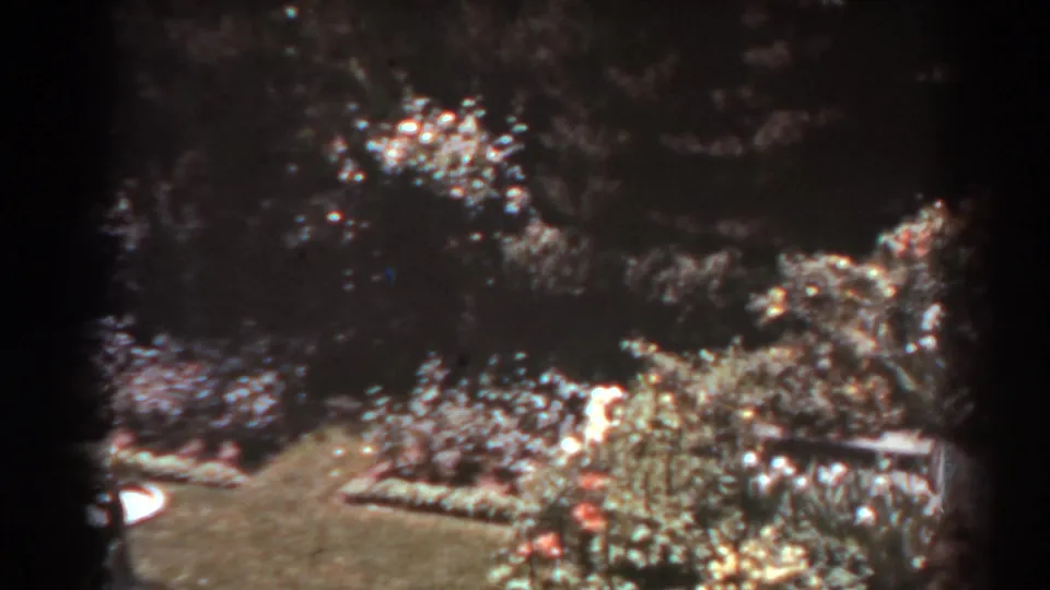 1938 West Virginia home-movie frame showing a planted garden area, stone edging, lawn, and dark tree shade.