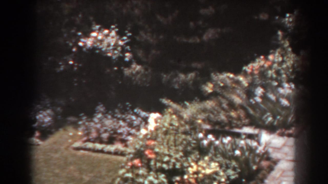 1938 West Virginia garden view with bordered plantings, low shrubs, a path, and strong vignette from the 8mm frame.
