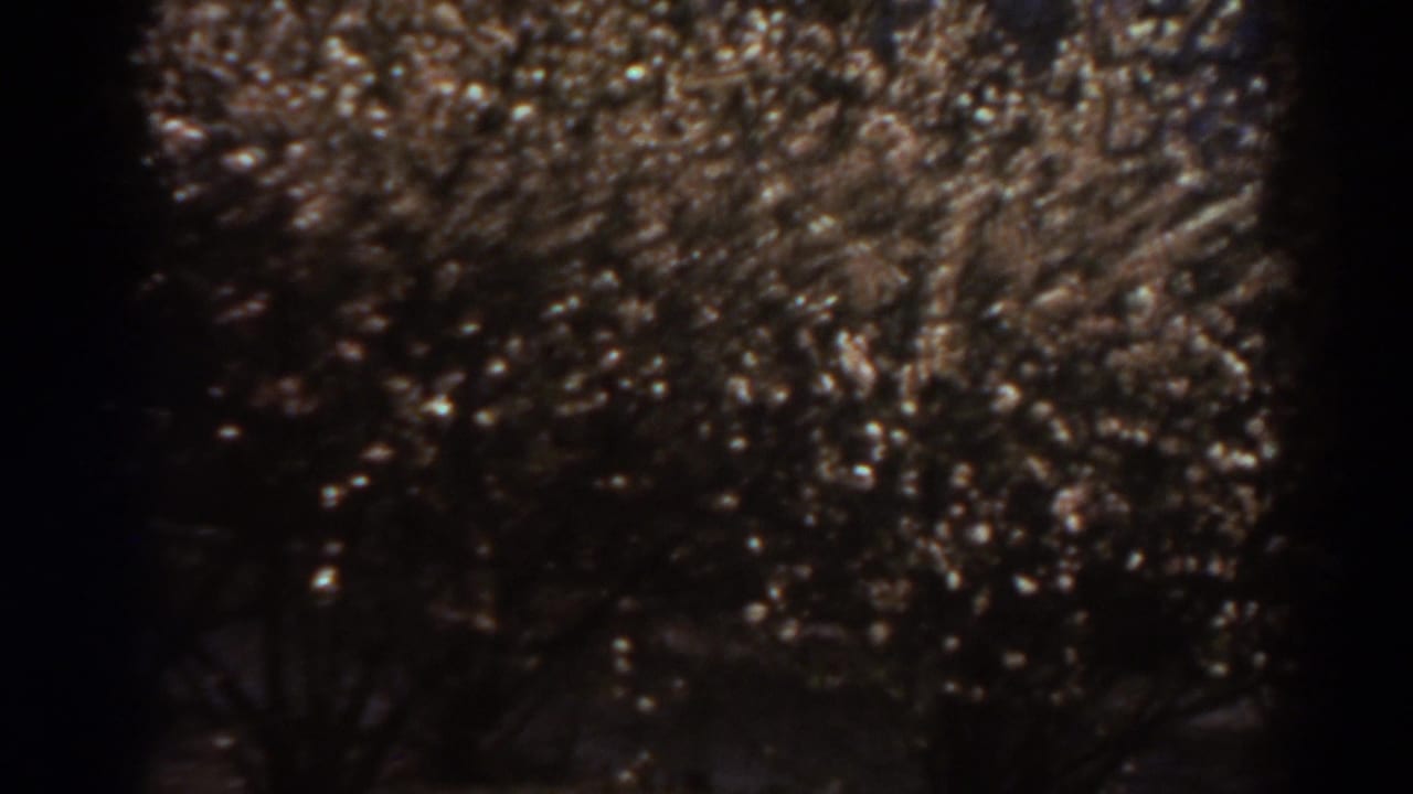 Dark outdoor branches filled with scattered small lights at night.