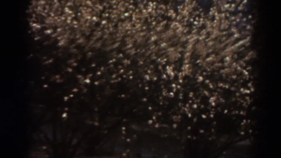 1938 West Virginia home-movie frame showing dark tree branches or shrubbery dotted with small lights at night.