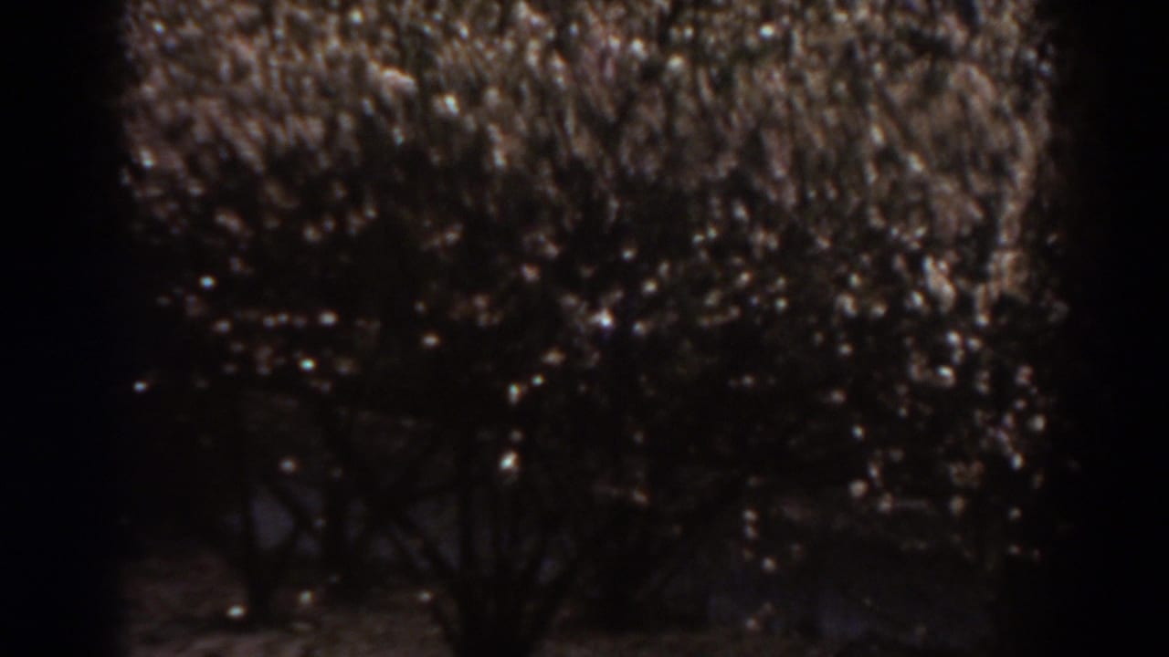 1938 West Virginia frame with a dense field of small lights on dark branches, partly divided by a vertical shadow.