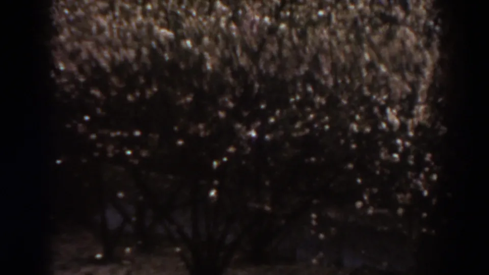 1938 West Virginia frame with a dense field of small lights on dark branches, partly divided by a vertical shadow.