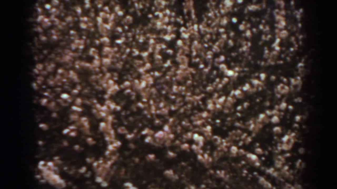 1938 West Virginia home-movie frame with a compact, blurred mass of people-like forms and no identifiable details.