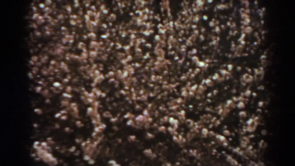 1938 West Virginia home-movie frame with a compact, blurred mass of people-like forms and no identifiable details.