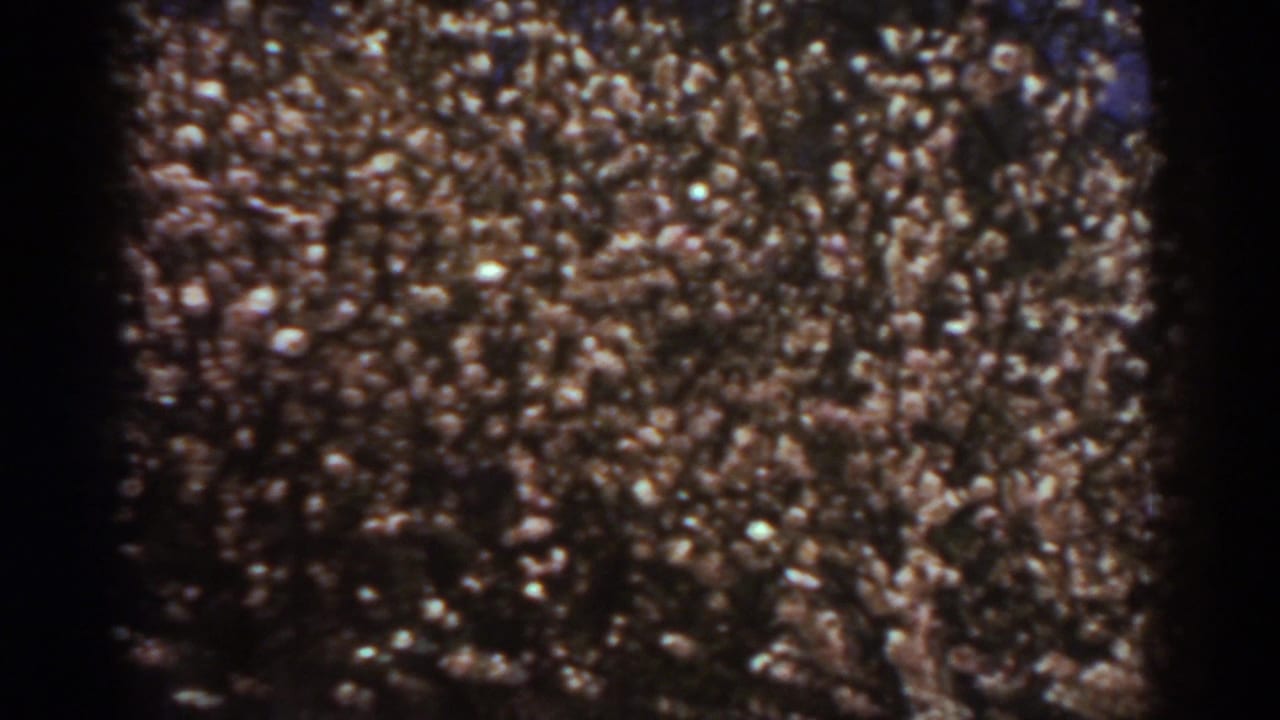 Soft 8mm frame from the 1938 West Virginia clip, showing an indistinct gathering texture divided by film-frame darkness.