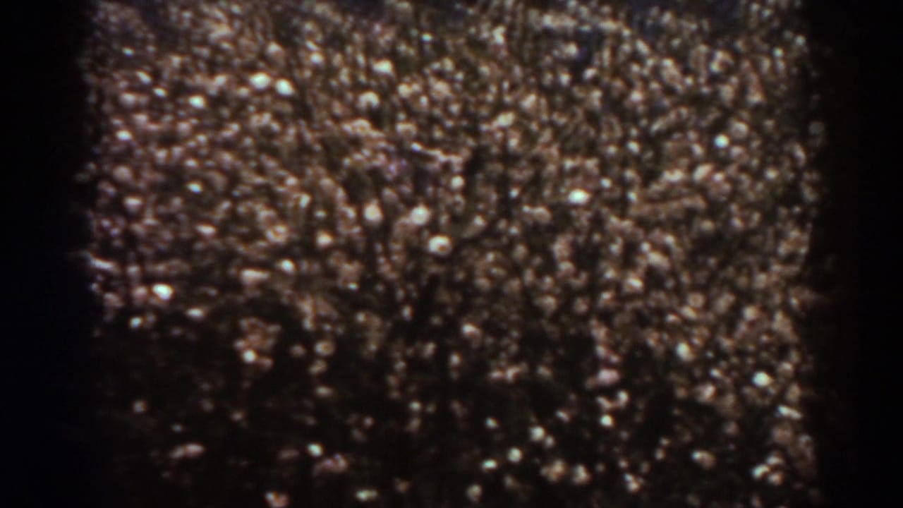 1938 West Virginia 8mm frame with indistinct crowd-like forms, dark edge falloff, and no identifiable people or objects.
