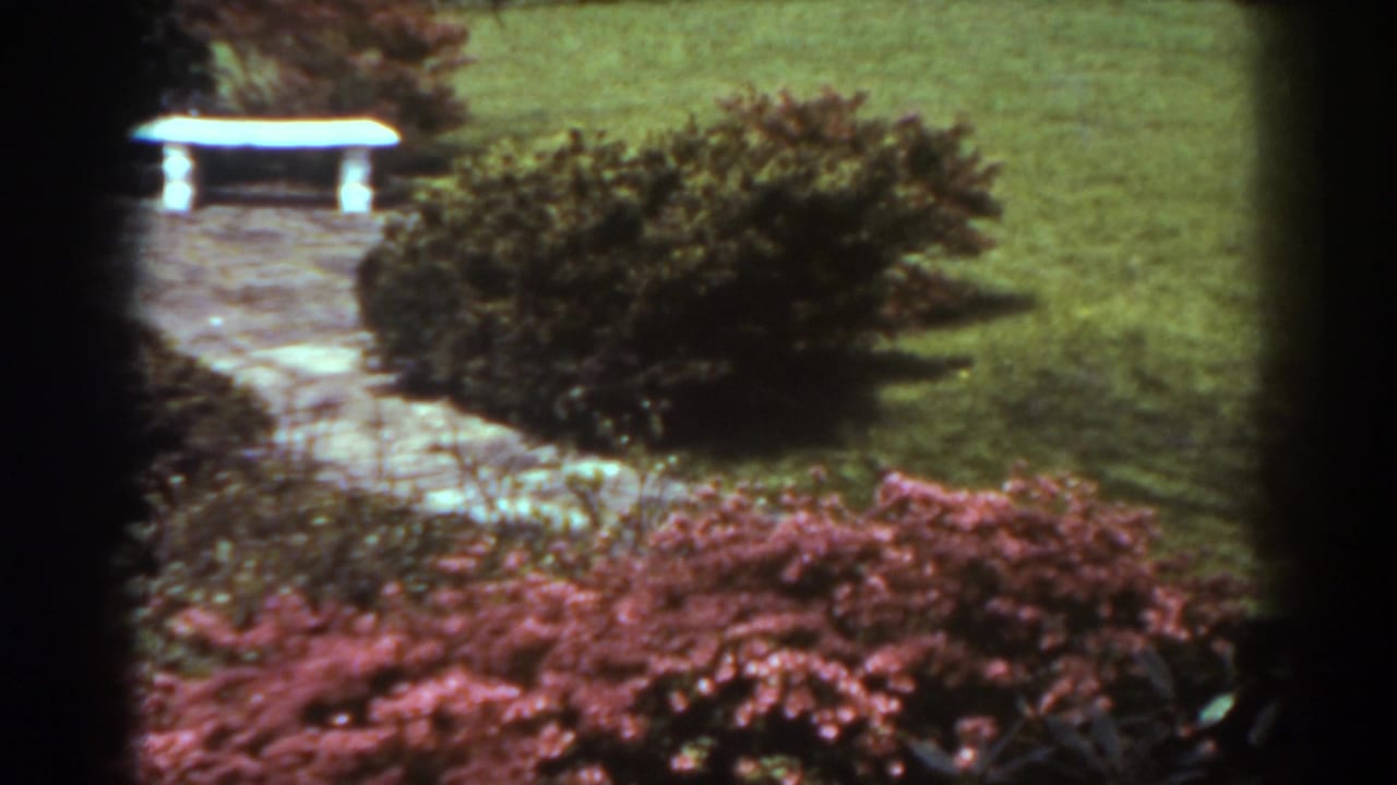 White bench beyond a stone path, with shrubs, lawn, red foliage, and dark film-edge framing.