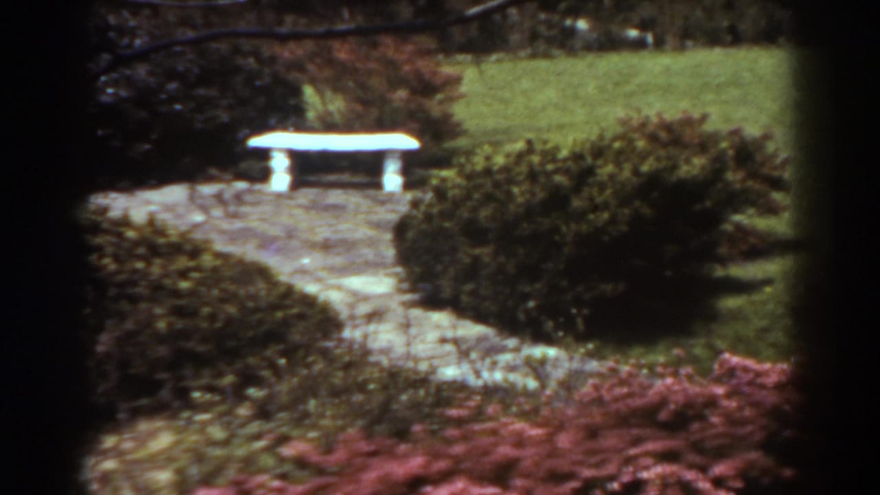 Stone path curves toward a white bench, with bushes, lawn, red foliage, and branches at the top.