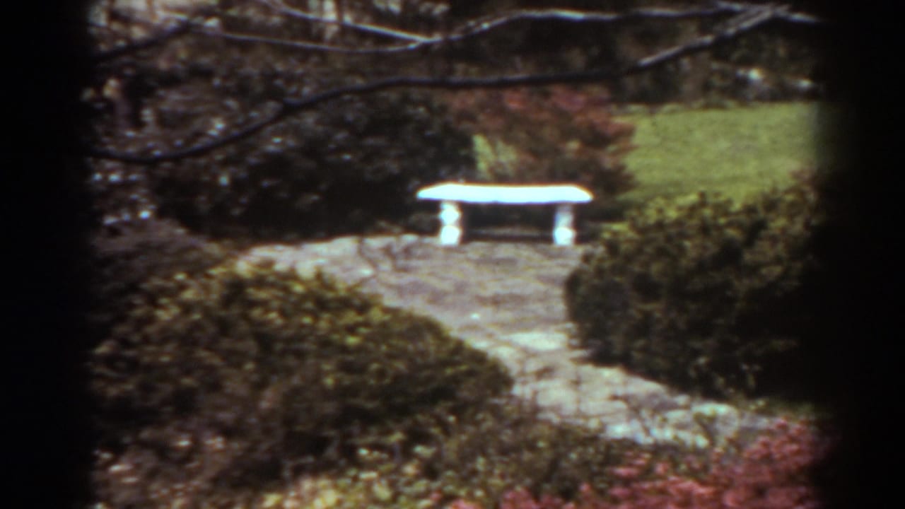 Vintage 8mm garden frame from West Virginia showing a white bench, stone walkway, lawn, and dense shrubs in reddish foliage.