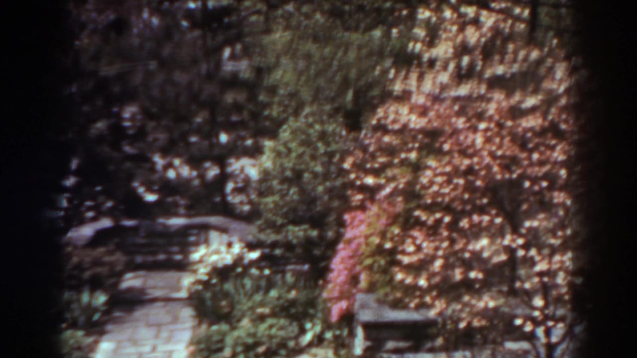 Soft 8mm view of a West Virginia garden path bordered by shrubs, a bench, and pale pink flowering plants.