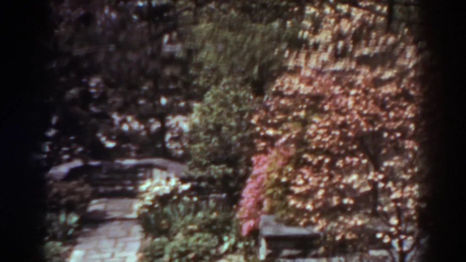 Soft 8mm view of a West Virginia garden path bordered by shrubs, a bench, and pale pink flowering plants.
