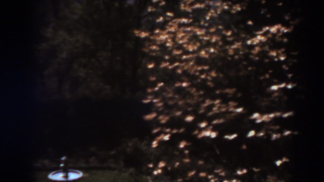 The camera has panned down to reveal a small bird bath at the edge of a shaded 1938 West Virginia yard.