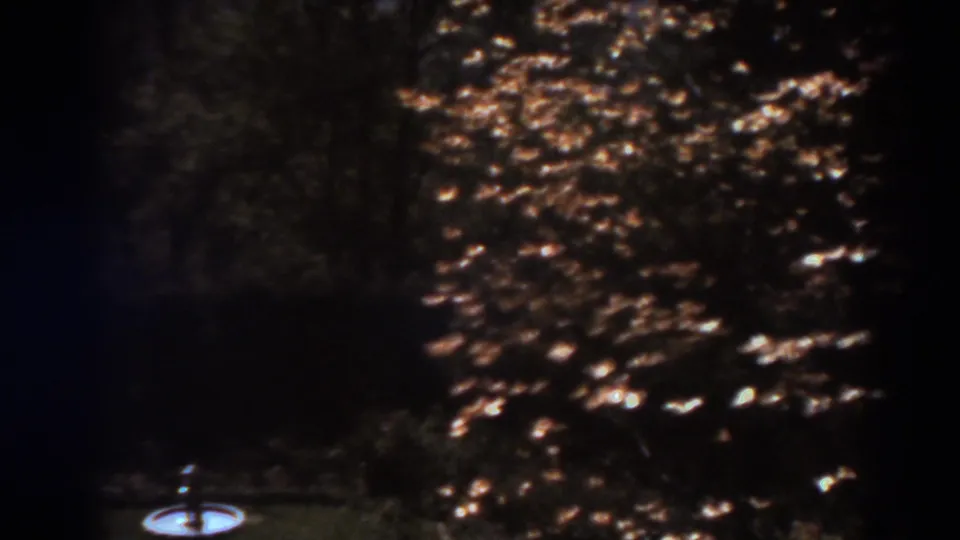 The camera has panned down to reveal a small bird bath at the edge of a shaded 1938 West Virginia yard.