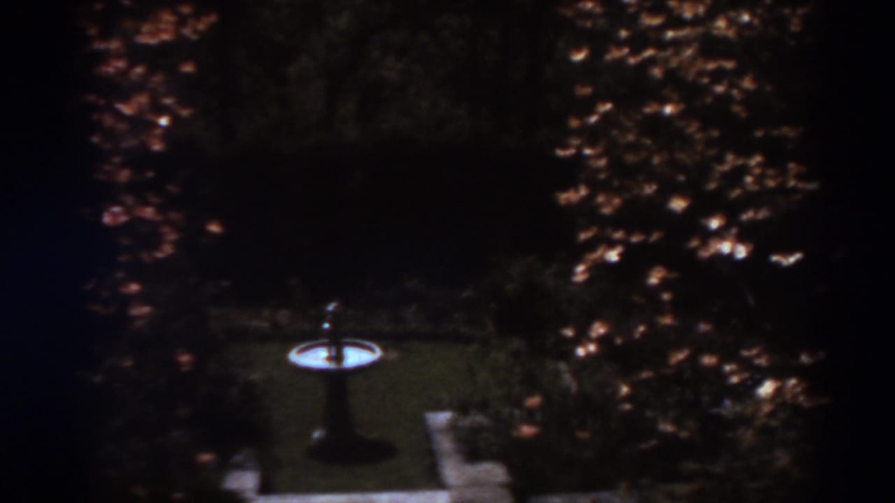 A small bird bath sits in a shaded West Virginia backyard, framed by dense leaves and a pale garden path.