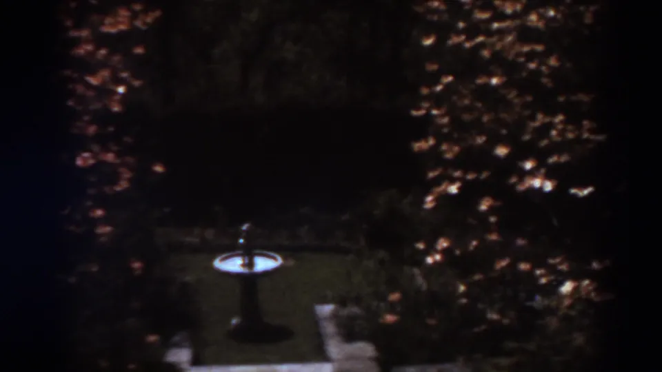 A small bird bath sits in a shaded West Virginia backyard, framed by dense leaves and a pale garden path.