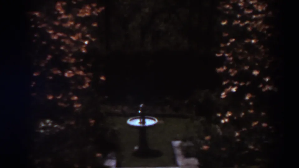1938 West Virginia home-movie frame showing a birdbath on a lawn bordered by trees with autumn-colored foliage.