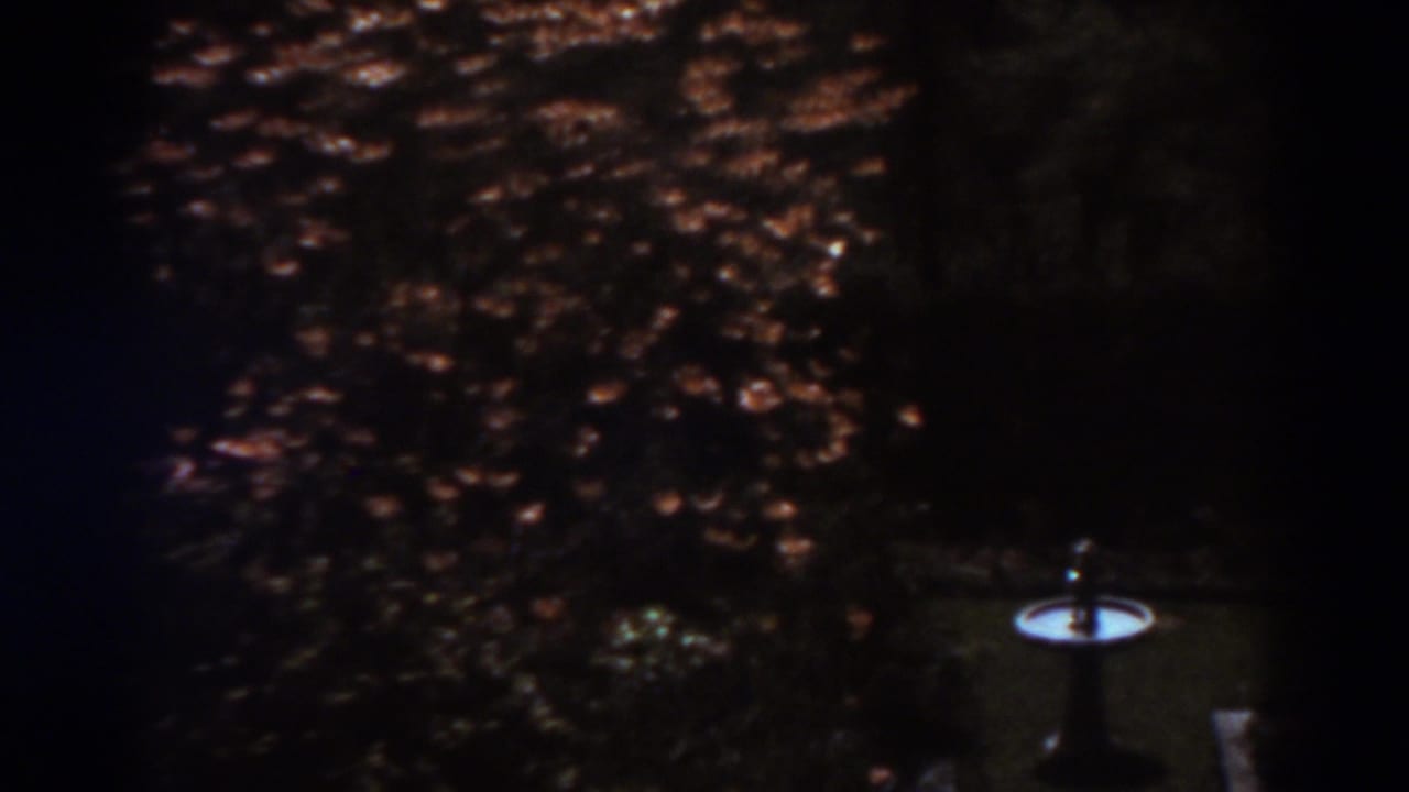 1938 West Virginia garden view with a birdbath near the right edge, mowed lawn, and dense autumn foliage in shadow.