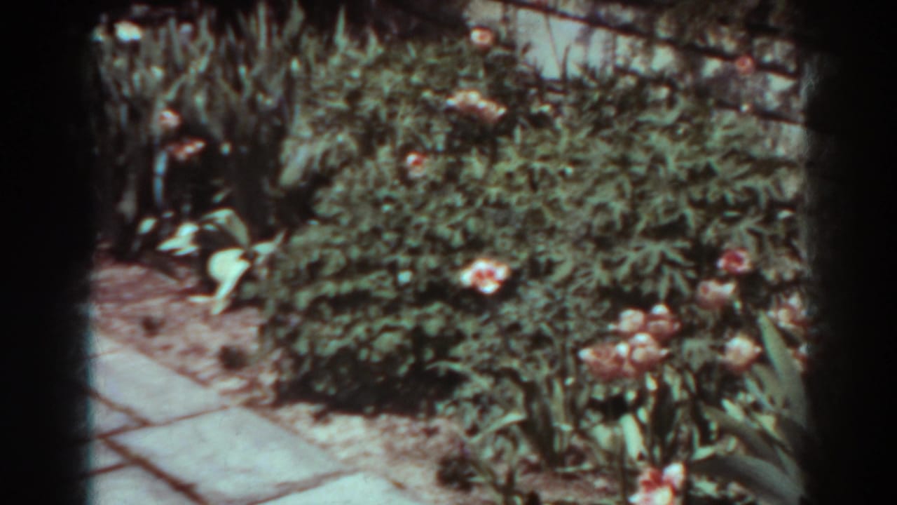 Flowering garden bed beside a stone pathway and rustic fence.
