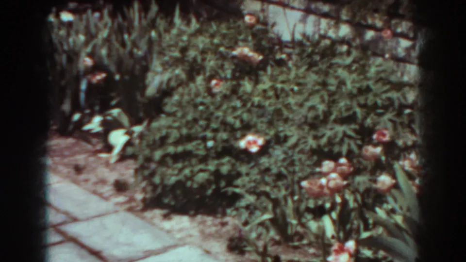 1938 West Virginia 8mm frame showing a sunlit garden bed, stone path, shrubs, and pale flowers near a wooden fence.