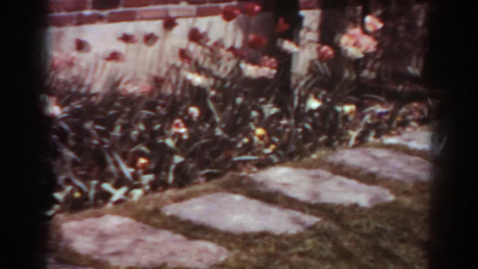 1938 West Virginia home-movie view of a stone garden path bordered by tulips, low foliage, and brickwork.